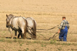 Taller Modos de vida tradicional