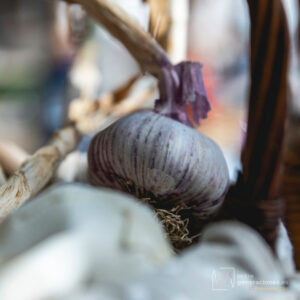 Ajos | Entre Generaciones Belmonte 2024